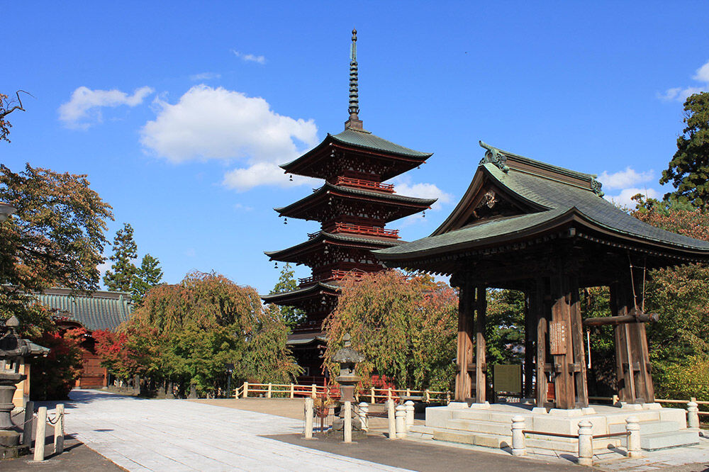 【寄附金額見直しました】【タクシーでらくらく移動】着地型弘前さくらまつり見学ツアー 4名様ご招待＜レターパックプラス＞ [ホテル宿泊券 入場券 食事券 桜まつり]