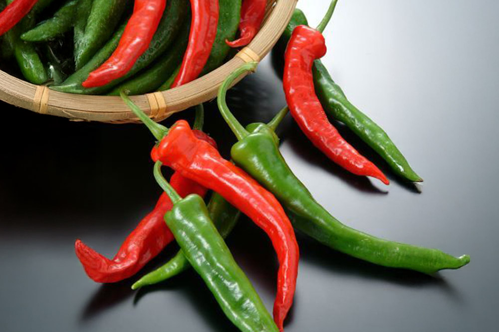 清水森ナンバ・グリーンカレー手作りセットC