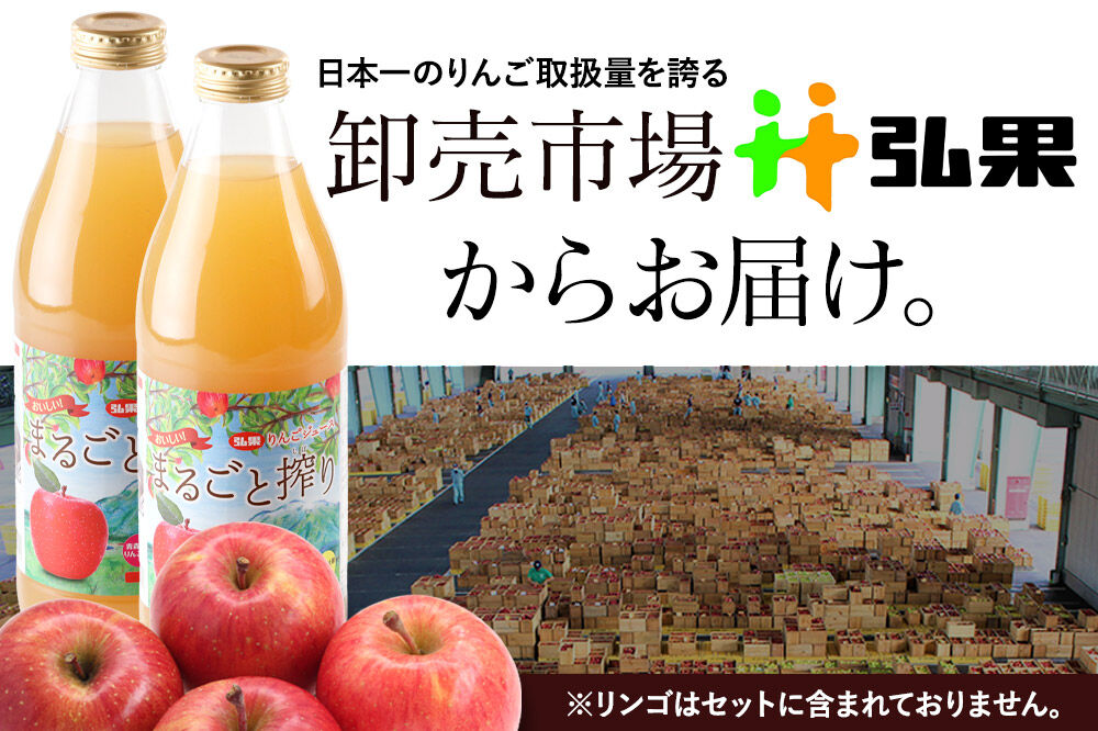 【寄附金額見直しました】無添加りんごジュースまるごと搾り詰め合わせ 1L×6本 [アップル おいしい ジュース りんご 飲料 果実 果物 詰め合わせ 詰合 美味 林檎]