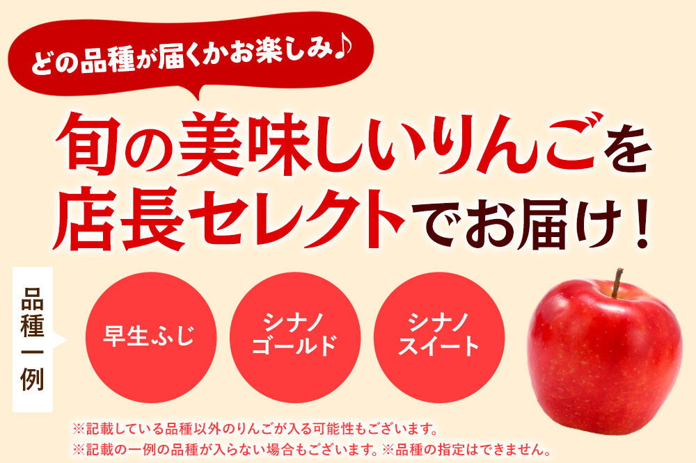 【26年1月発送】りんご 家庭用 訳あり 旬のりんご 品種おまかせ 約10kg 2品種～4品種