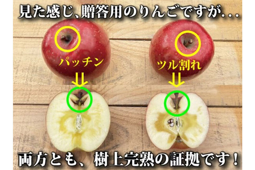 りんご ふじ 約3kg（7玉～14玉程度）樹上完熟葉とらず【家庭用】厳選品 青森県産 りんご