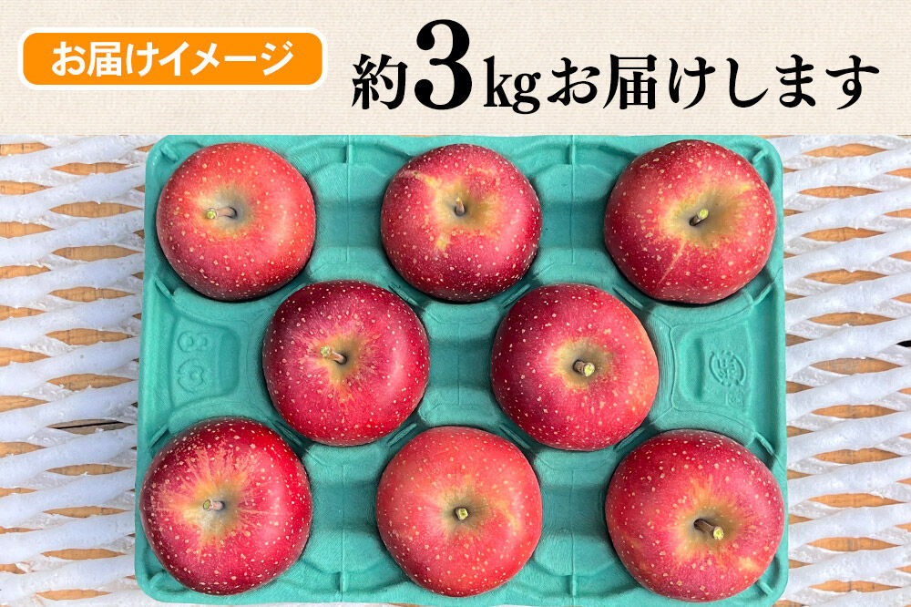 【26年10月下旬～発送】りんご 千雪 約3kg カワムラファーム【贈答用】青森 果物 フルーツ 林檎 リンゴ くだもの [先行受付 アップル おいしい ちゆき お歳暮 お中元 ギフト プレゼント 果実 果物 赤色 贈り物 美味 林檎 弘前市]