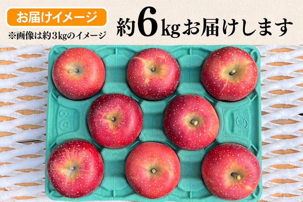 【寄附金額見直しました】【26年10月下旬～発送】りんご 千雪 約6kg カワムラファーム【贈答用】青森 果物 フルーツ 林檎 リンゴ くだもの [先行受付 アップル おいしい ちゆき お歳暮 お中元 ギフト プレゼント 果実 果物 赤色 贈り物 美味 林檎 弘前市]