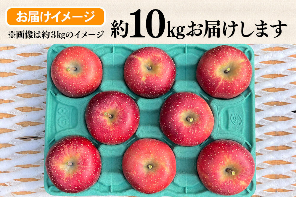 【寄附金額見直しました】【26年10月下旬～発送】りんご 千雪 約10kg カワムラファーム【贈答用】青森 果物 フルーツ 林檎 リンゴ くだもの [先行受付 アップル おいしい ちゆき お歳暮 お中元 ギフト プレゼント 果実 果物 赤色 贈り物 美味 林檎 弘前市]