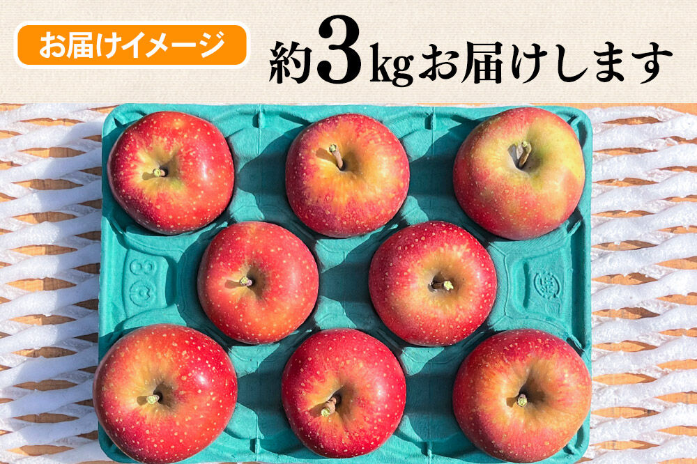 【26年10月下旬～発送】りんご 千雪 約3kg カワムラファーム【家庭用】青森 果物 フルーツ 林檎 リンゴ くだもの [先行受付 アップル おいしい ちゆき 果実 果物 赤色 美味 林檎 弘前市]