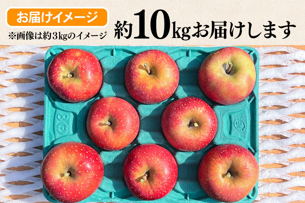 【寄附金額見直しました】【26年10月下旬～発送】りんご 千雪 約10kg カワムラファーム【家庭用】青森 果物 フルーツ 林檎 リンゴ くだもの [先行受付 アップル おいしい ちゆき 果実 果物 赤色 美味 林檎 弘前市]