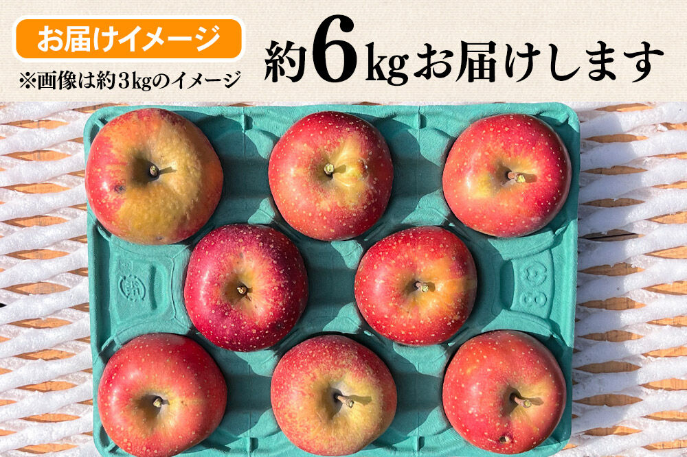 【寄附金額見直しました】【26年10月下旬～発送】りんご 千雪 約6kg カワムラファーム【訳あり】青森 果物 フルーツ 林檎 リンゴ くだもの [先行受付 アップル おいしい ちゆき 果実 果物 赤色 美味 林檎 弘前市]