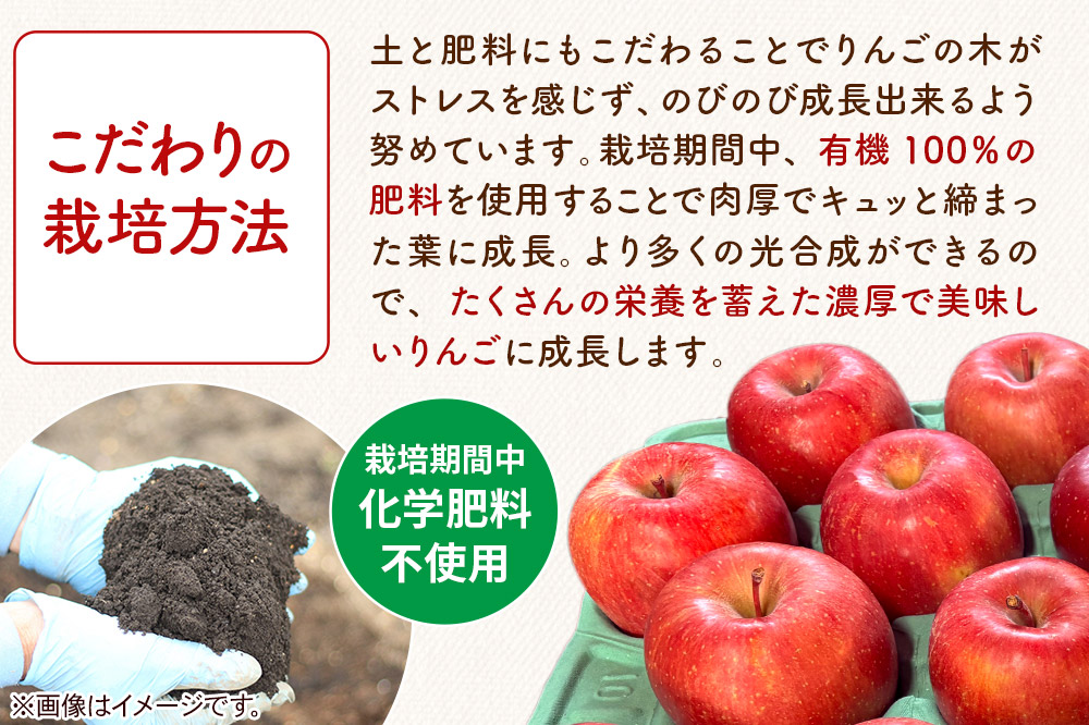 無添加 りんごジュース 千雪 1L×3本 カワムラファーム