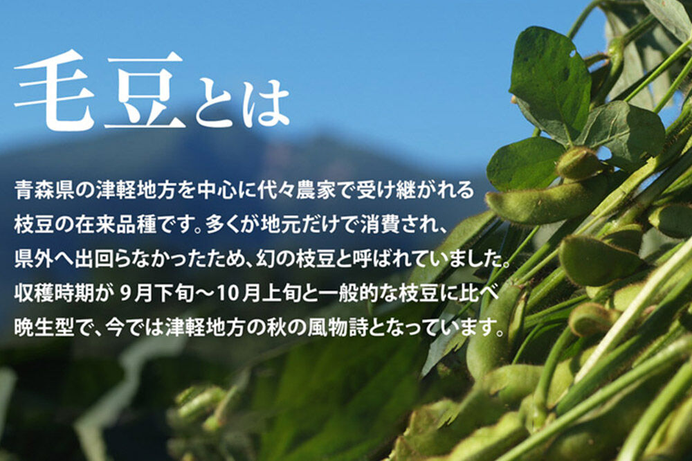 【寄附金額見直しました】【26年9月下旬～発送】【朝採り直送 令和8年度】青森毛豆 約1.2kg 青森・津軽の秋を味わう栗のような濃厚なうまみの枝豆【先行受付】 産地直送 おつまみ 新鮮 えだまめ 野菜 予約 [毛豆 青森県 弘前市 おいしい つまみ 枝豆 大豆 茶豆 津軽 美味]