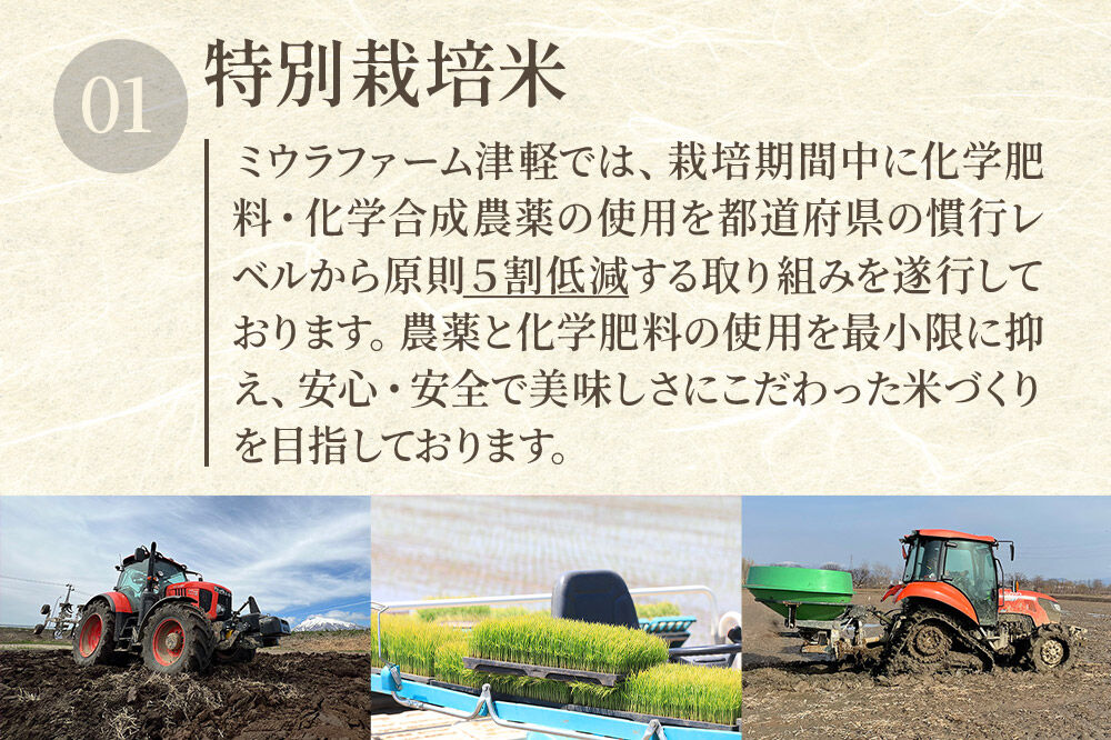 【寄附金額見直しました】米 青天の霹靂 白米 5kg 青森県弘前市産