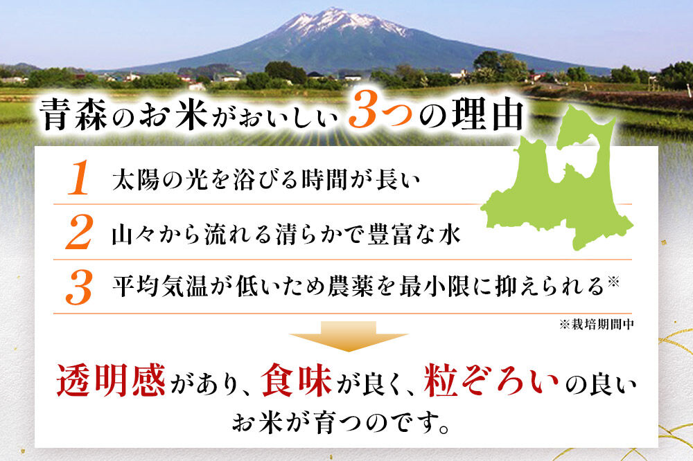 《定期便6ヶ月》【白米】青森県産 まっしぐら 10kg 精米 お米 青森県産 ブランド米