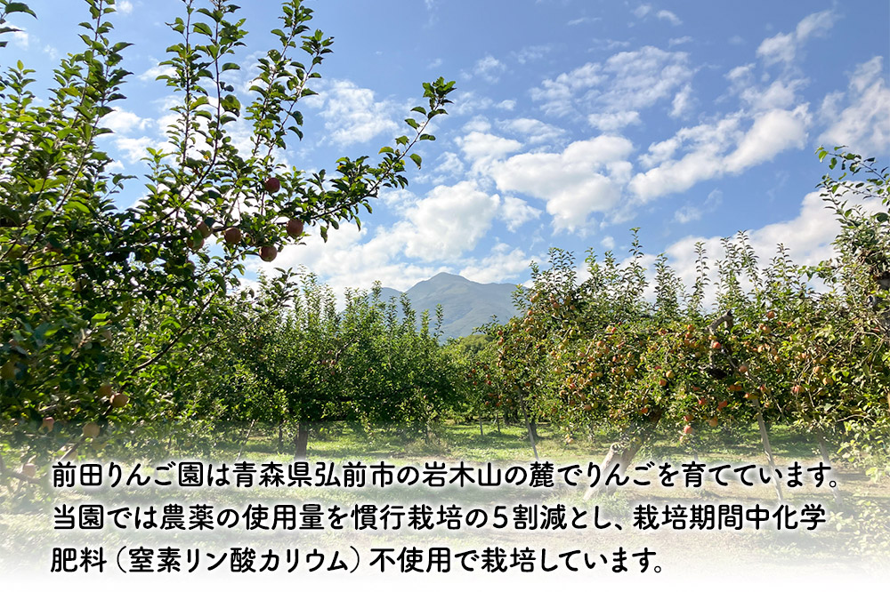 【12月～発送】りんご【先行受付】家庭用 葉とらず サンふじ 約 5kg (16～20玉程度) 前田りんご園 青森 果物 フルーツ 林檎 リンゴ くだもの 予約
