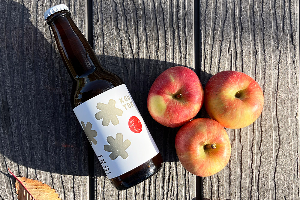 未来を育てるりんごのお酒 テキカカシードル（シードル×3 、ライチ×1、こうとく×1、ラガー×1） 各330ml 計6本 お酒 青森 弘前 林檎 リンゴ