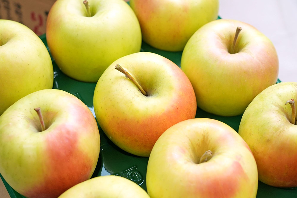 【26年1月発送】りんご 平均糖度13度以上！ ぐんま名月 約5kg 訳あり 青森 果物 フルーツ 林檎 リンゴ くだもの 不揃い 規格外