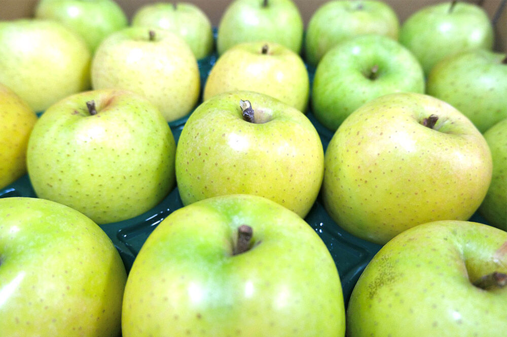 【26年5月クール便発送】りんご 平均糖度13度以上！ 王林 約5kg 訳あり CA貯蔵 クール便 青森 果物 フルーツ 林檎 リンゴ くだもの 不揃い 規格外 [りんご 王林 弘前]