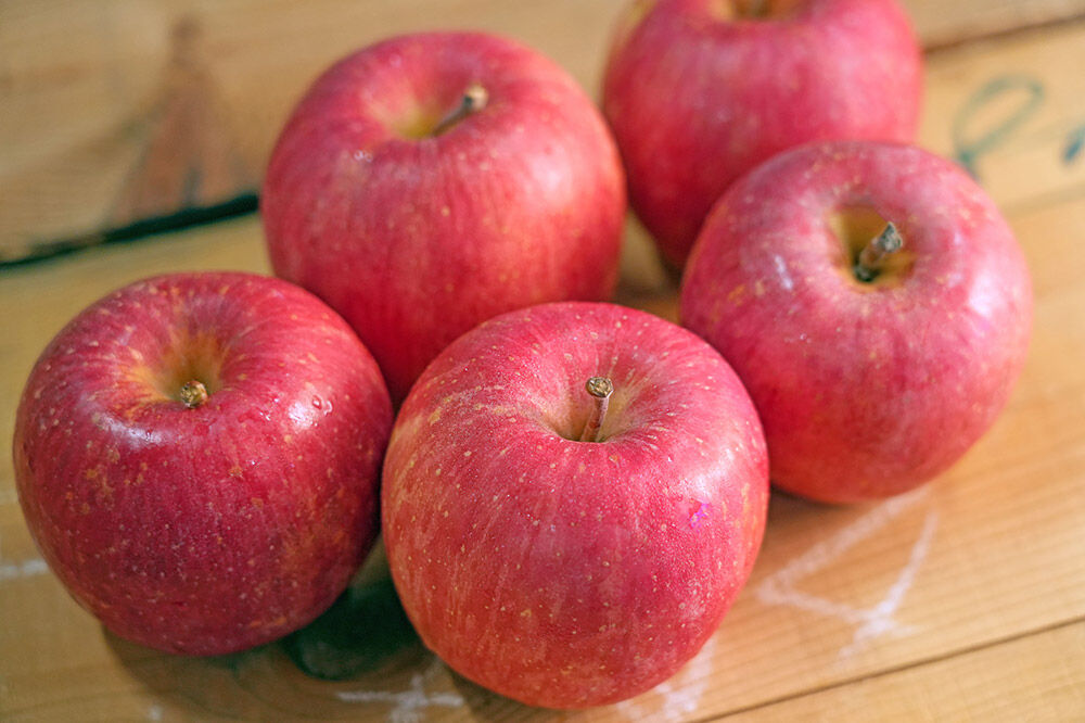 【26年5月発送】りんご 平均糖度13度以上！ 有袋ふじ 約10kg おもてなし用 CA貯蔵 クール便 青森 果物 フルーツ 林檎 リンゴ くだもの [リンゴ 林檎 アップル 果物 産地直送 フルーツ]