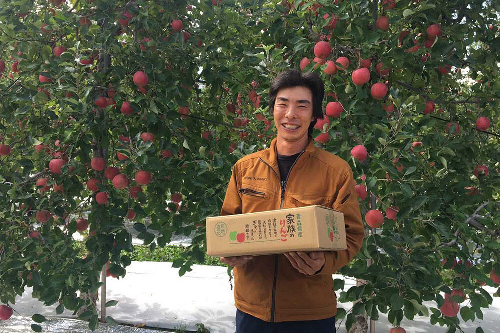 【寄附額見直しました】【26年4月発送】りんご 平均糖度13度以上！ 品種おまかせ 約3kg 訳あり CA貯蔵 クール便 青森 果物 フルーツ 林檎 リンゴ くだもの 不揃い 規格外