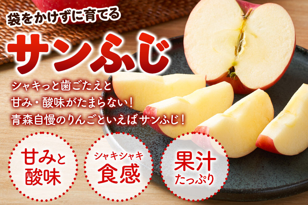 【26年4月発送】りんご 平均糖度13度以上！ サンふじ 約5kg おもてなし用 CA貯蔵 クール便 青森 果物 フルーツ 林檎 リンゴ くだもの [リンゴ 林檎 アップル 果物 産地直送 フルーツ]