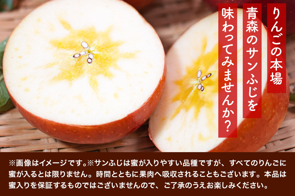 【26年1月発送】りんご 平均糖度13度以上！ サンふじ 約10kg 贈答用 青森 果物 フルーツ 林檎 リンゴ くだもの