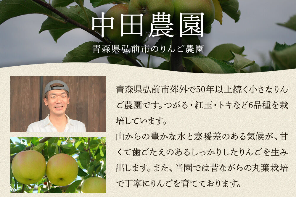 【寄附金額見直しました】ハードサイダー【アルマナウラカ】 750ml 1本 （ジュニャーナムドラTJW） JAPAN CIDER CUP 2025 ウッド／樽熟成サイダー 銀賞 [おいしい サイダー ジュース 飲料 炭酸 美味]