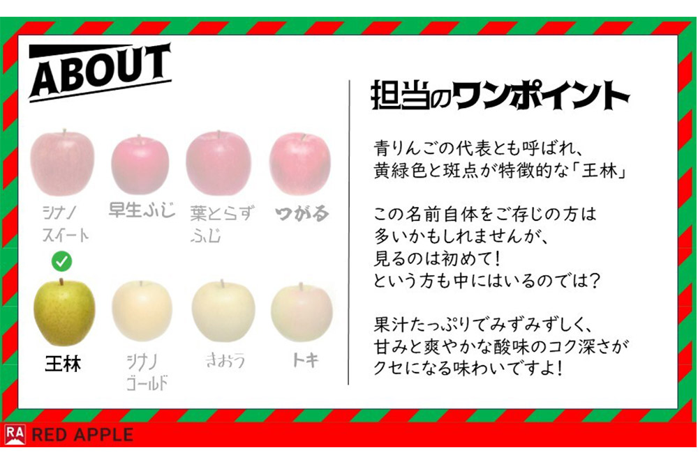 りんご 13度糖度保証【訳あり】家庭用 王林 約10kg