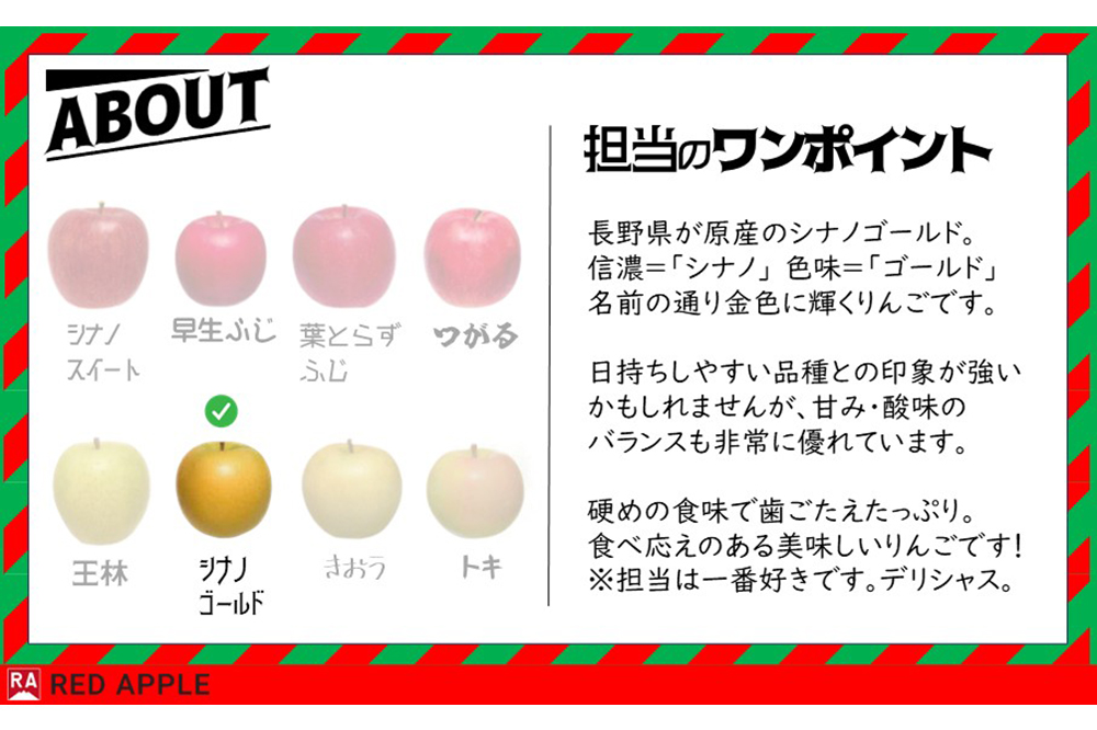 りんご【訳あり】家庭用 シナノゴールド 約10kg