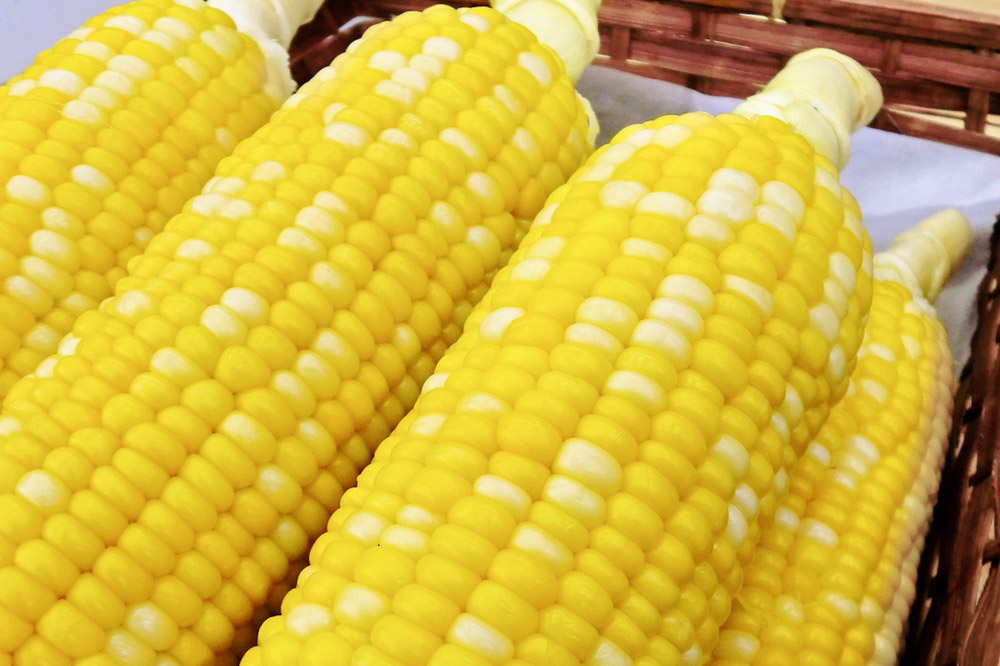 嶽きみ真空パック SSサイズ 10本 しらかみラボ