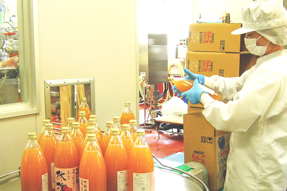 【25年11月～発送】りんご（サンふじ ・ 王林 各3玉）と無添加りんごジュース（1L×2本）詰め合わせ JA相馬村