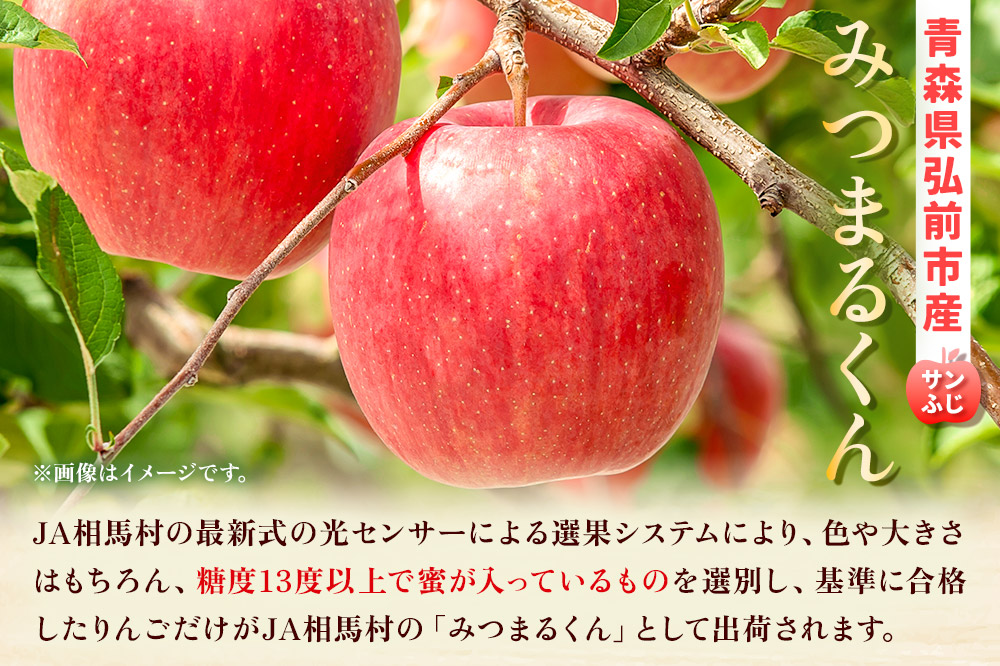 【25年11月～発送】りんご 蜜入り サンふじ（みつまるくん）約 2.5kg 糖度13度以上