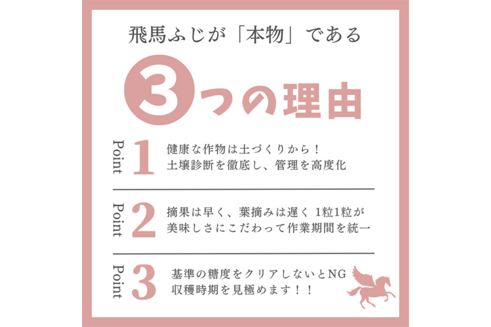 【25年11月～発送】りんご 糖度14度以上 「 飛馬ふじ 」（サンふじ）約 2.5kg