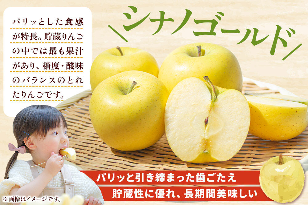 【寄附金額見直しました】【26年3月発送】りんご【訳あり】家庭用 シナノゴールド約10kg（32～40玉程度）CA スマートフレッシュ
