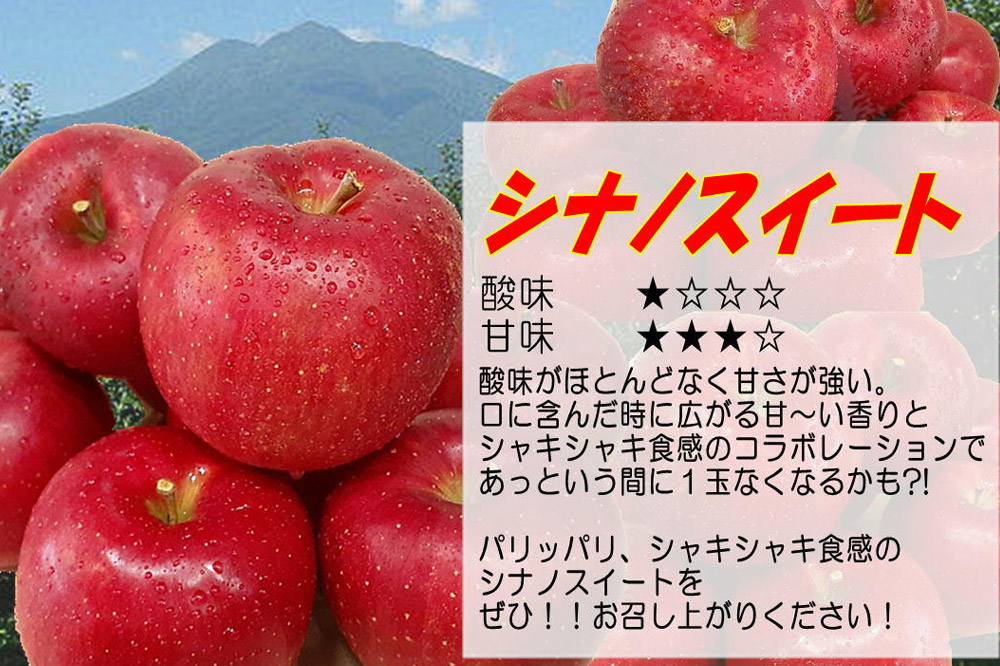 【26年5月発送・先行受付・クール便】りんご 訳あり家庭用 白熊 シナノスイート 約5kg（14～20玉程度） スマートフレッシュ 糖度13度