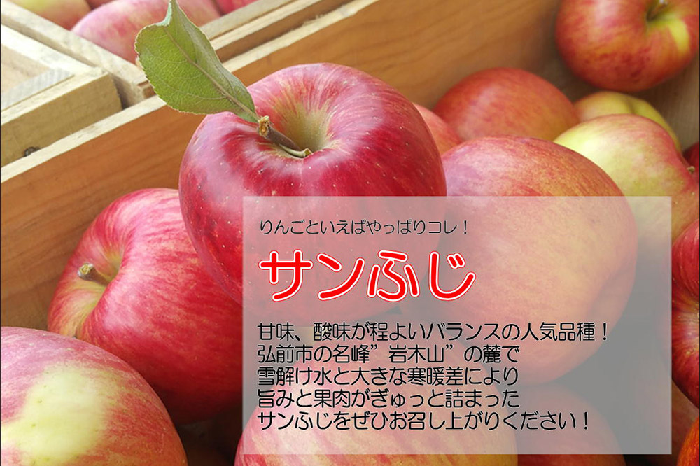 【26年3月発送・先行受付・クール便】りんご 訳あり家庭用 白熊 サンふじ 約5kg（14～20玉程度）糖度13度
