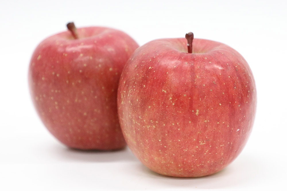 【26年1月発送・先行受付】りんご 特選 白熊 サンふじ 絆 約3kg（9～12玉程度）糖度13度