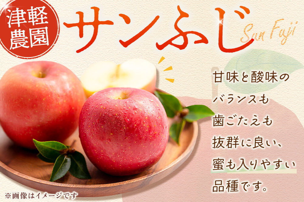 【寄附額見直しました】りんご 【糖度13度以上】サンふじ【家庭用】約5kg  13～20玉程度 津軽農園 [アップル おいしい ふじ りんご 果実 果物 青森 赤色 津軽 糖度 美味 林檎]