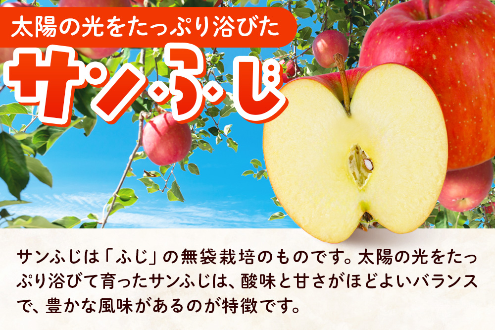【26年2月発送】りんご 贈答規格 サンふじ 約 3kg（9～12玉程度）