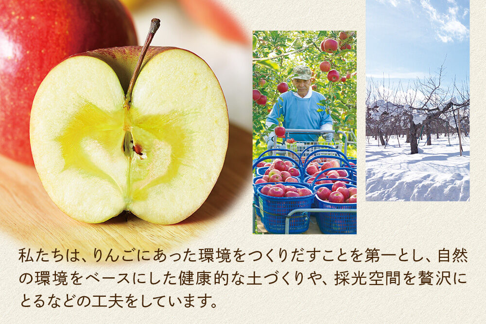 【寄附金額見直しました】シードル タムラシードルセット TM-SD（SWEET・DRY 500ml×各1本 計2本） 青森県弘前市 タムラファーム [りんご リンゴ 林檎 アップル 弘前 セット ギフト 果実酒 果汁 発泡 青森 飲み比べ 完熟 ポム・ドール賞 泡立ち 甘口 やや辛口]