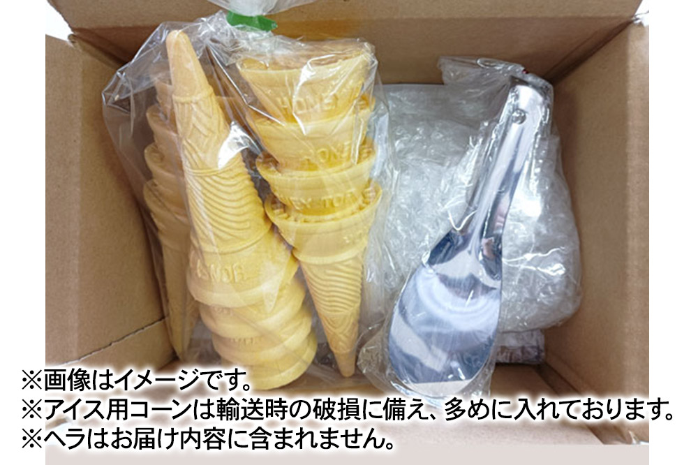 アイス 藤田アイス店 屋台アイスセット【イチゴ味×1個+りんご味×1個（りんご果肉入り）+コーン10個】