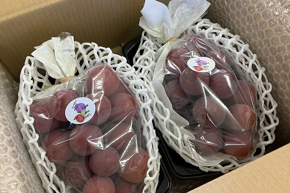 【寄附金額見直しました】【26年9月～発送】 【訳あり】 クインニーナ 1kg【先行受付】 ぶどう フルーツ 果物 ブドウ 葡萄 グレープ くだもの 産地直送