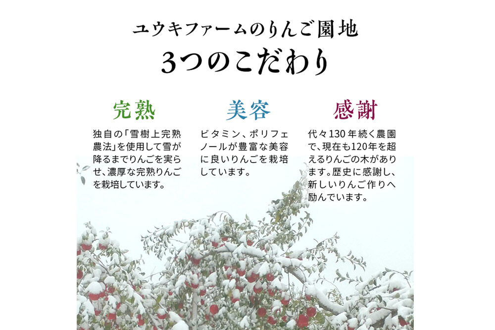 【26年1月～発送】りんご 【 数量限定 】訳あり 雪完熟 家庭用 糖度13度以上 大玉 サンふじ 約3kg 9個入り