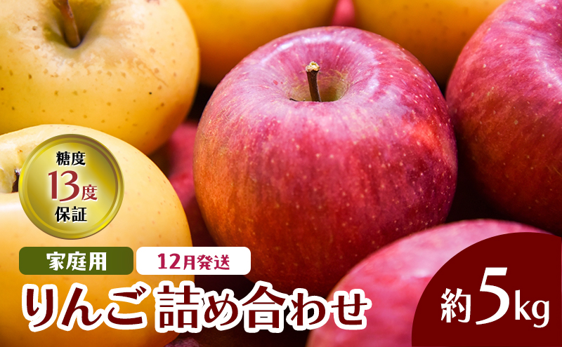 12月発送 家庭用 りんご詰め合わせ 約5kg 2種以上 糖度13度以上 岩木山観光りんご園 弘前市産 青森りんご サンふじ:  弘前市ANAのふるさと納税