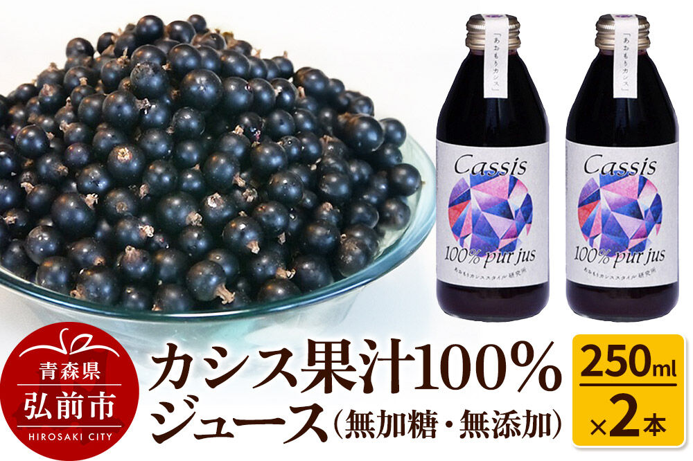 【寄附金額見直しました】カシス果汁100％ジュース（無加糖・無添加）250ml×2本【果汁飲料】