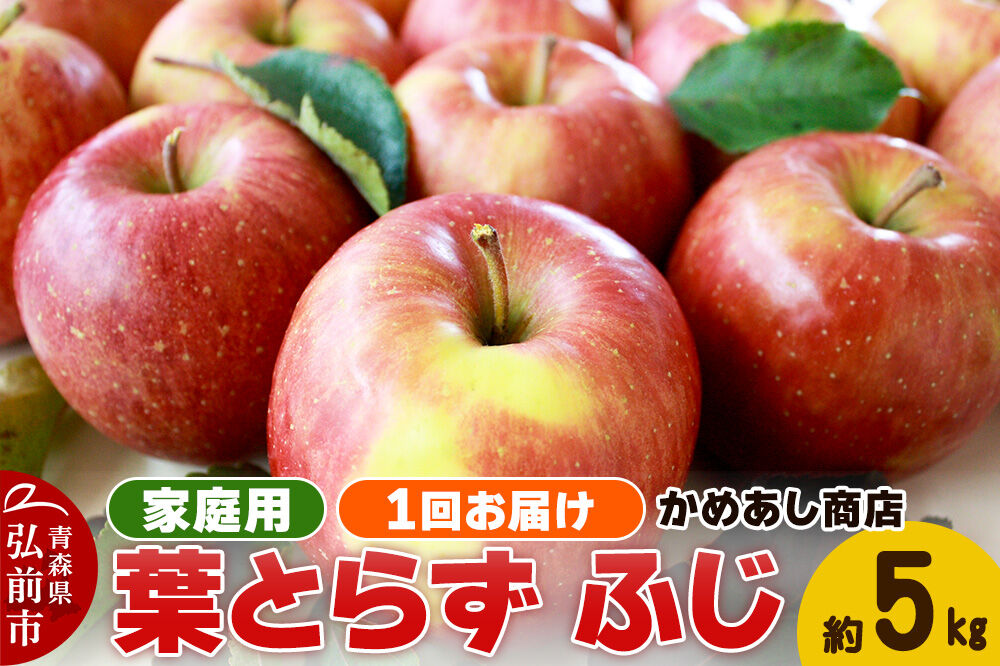【寄附金額見直しました】【25年12月～発送】りんご 葉とらず ふじ【家庭用】約5kg ゴールド農園