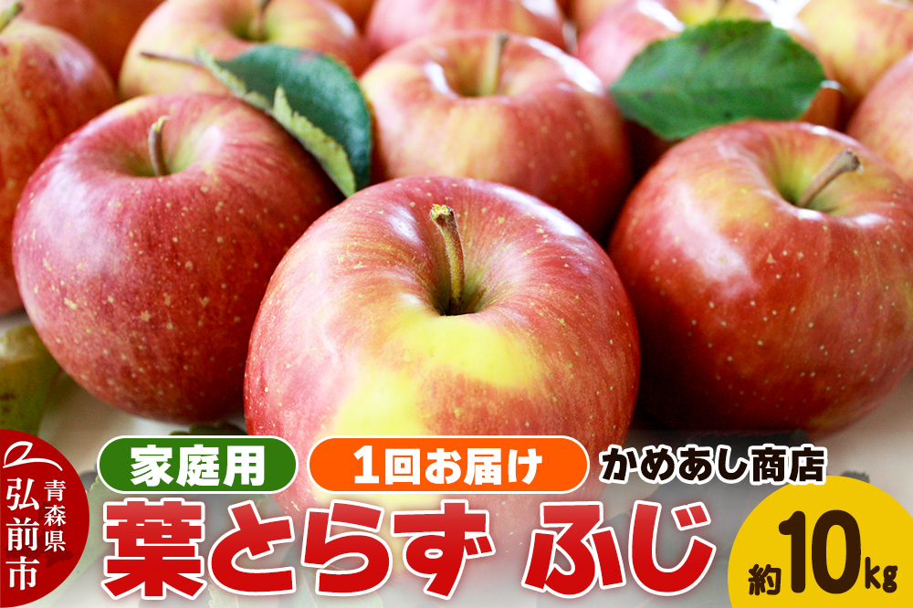 【25年12月～発送】りんご 葉とらず ふじ【家庭用】約10kg ゴールド農園