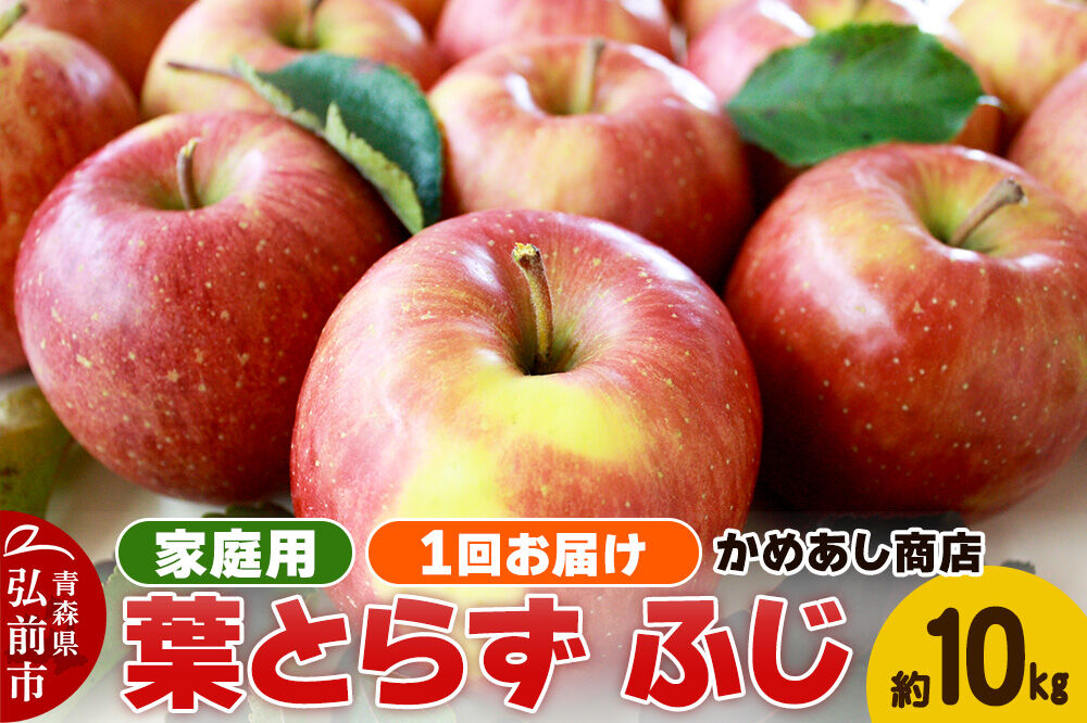 【寄附金額見直しました】【25年12月～発送】りんご 葉とらず ふじ【家庭用】約10kg ゴールド農園