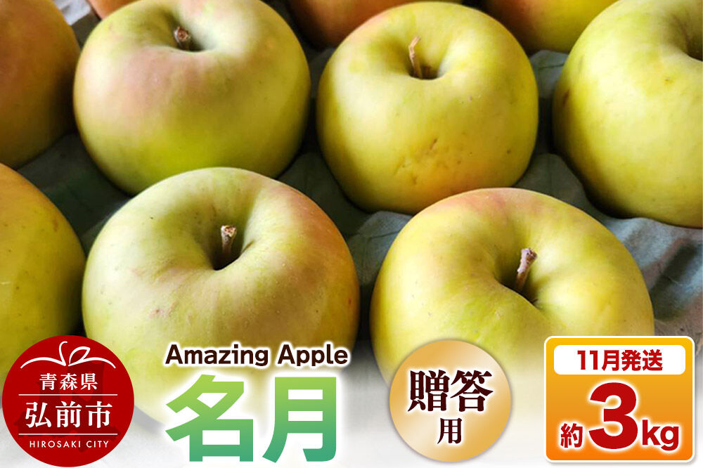 【寄附金額見直しました】【26年11月下旬発送】りんご 名月【贈答用】約3kg [りんご 名月 3kg アップル おいしい お歳暮 お中元 ギフト プレゼント 果実 果物 贈り物 贈答用 美味 林檎 青森県 弘前市]