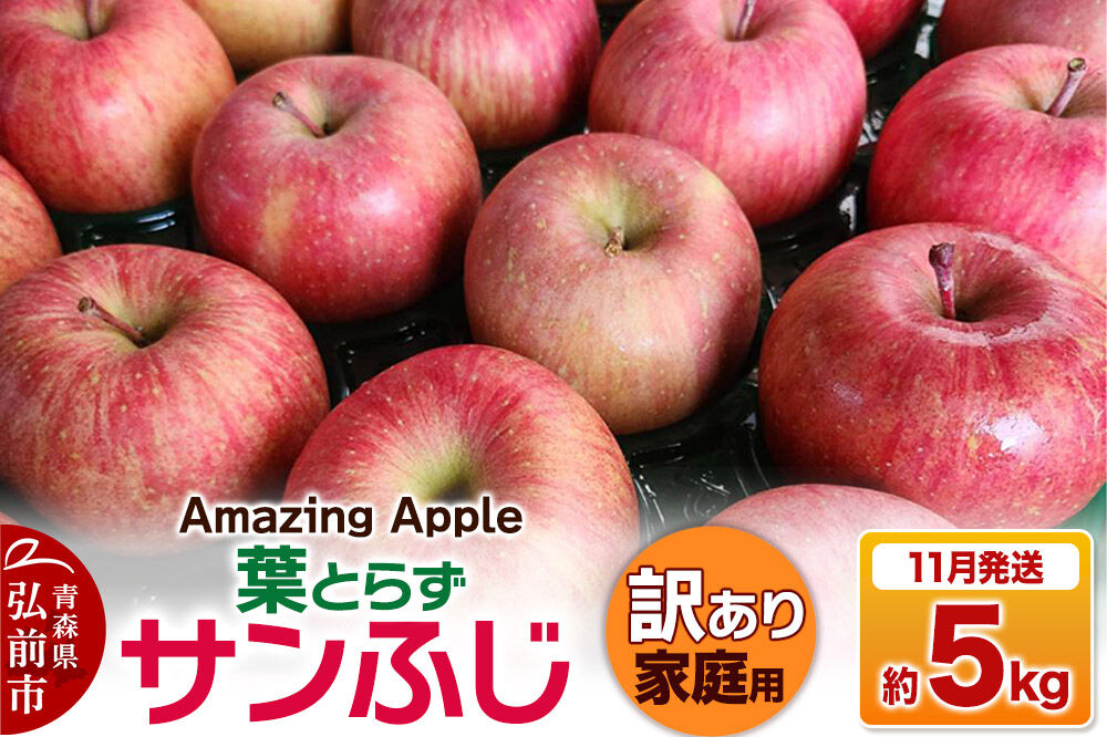 【寄附金額見直しました】【26年11月下旬発送】りんご 葉とらずサンふじ【訳あり】家庭用 約5kg [りんご サンふじ 葉とらず ふじ 訳あり 家庭用 5kg アップル おいしい 果実 果物 取ら 赤色 美味 葉っぱ 林檎 青森県 弘前市]