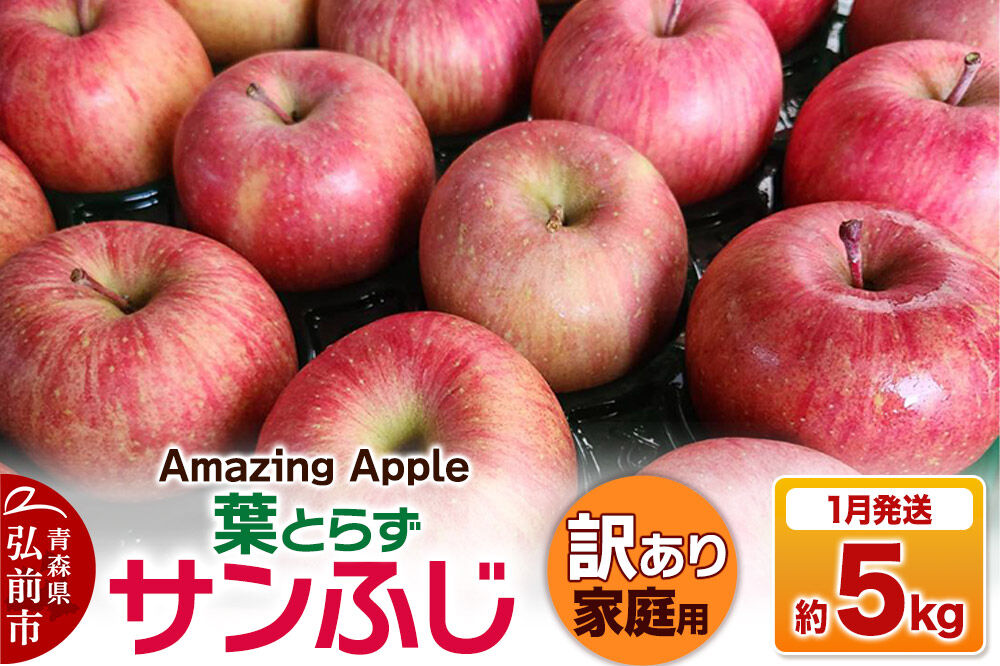 【寄附金額見直しました】【27年1月発送】りんご 葉とらずサンふじ【訳あり】家庭用 約5kg [りんご サンふじ 葉とらず ふじ 訳あり 家庭用 5kg アップル おいしい 果実 果物 取ら 赤色 美味 葉っぱ 林檎 青森県 弘前市]
