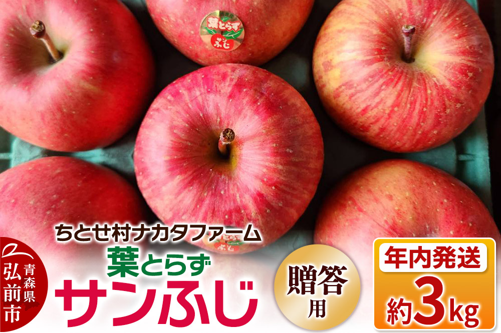 【25年11月～発送】りんご【贈答用】葉とらずサンふじ 約3kg ちとせ村