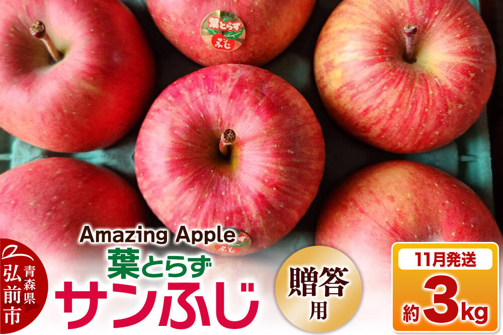 【寄附金額見直しました】【26年11月下旬発送】りんご 葉とらずサンふじ【贈答用】約3kg [りんご サンふじ 葉とらず ふじ 3kg お歳暮 お中元 ギフト 贈り物 贈答用 アップル おいしい 果実 果物 赤色 美味 葉っぱ 林檎 青森県 弘前市]